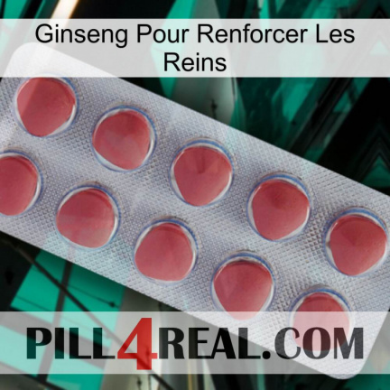 Ginseng For Reinforcing Kidney 18